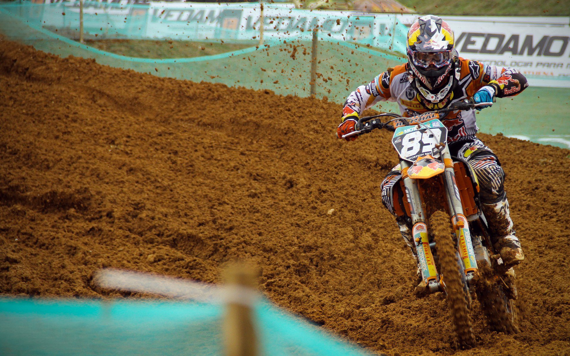 潜力新星：未来“超级巨星”们的成长轨迹分析，潜力之星是啥意思