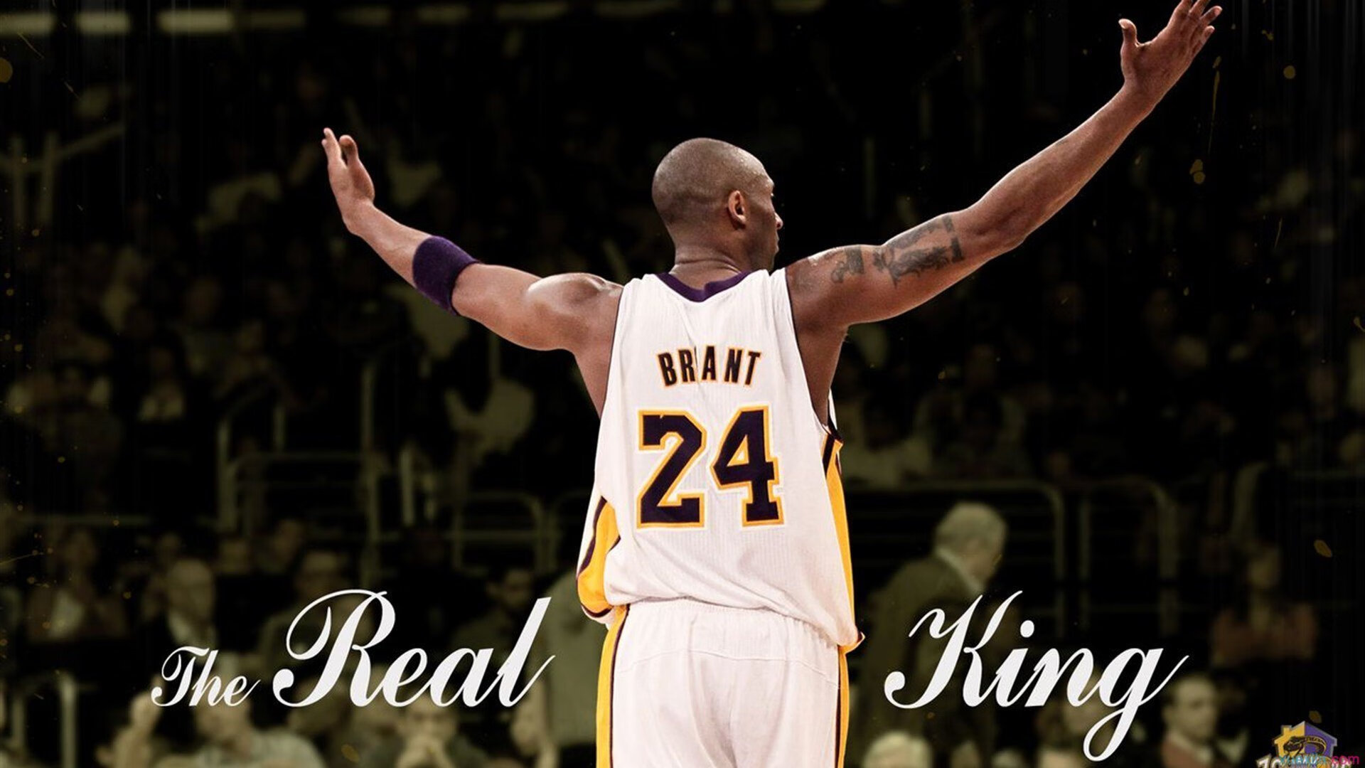 玫瑰队主控状态回勇，连续砍下+分，玫瑰篮球队